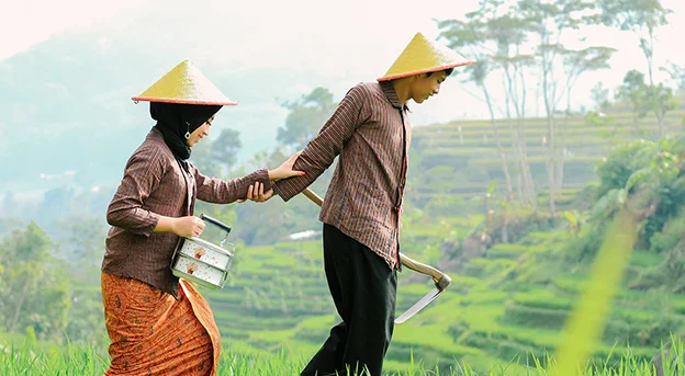 Foto bawa cangkul di sawah sama pasangan