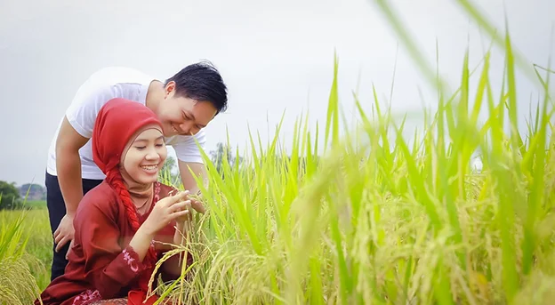 Ide foto prewed di sawah Menanam atau Memanen Padi