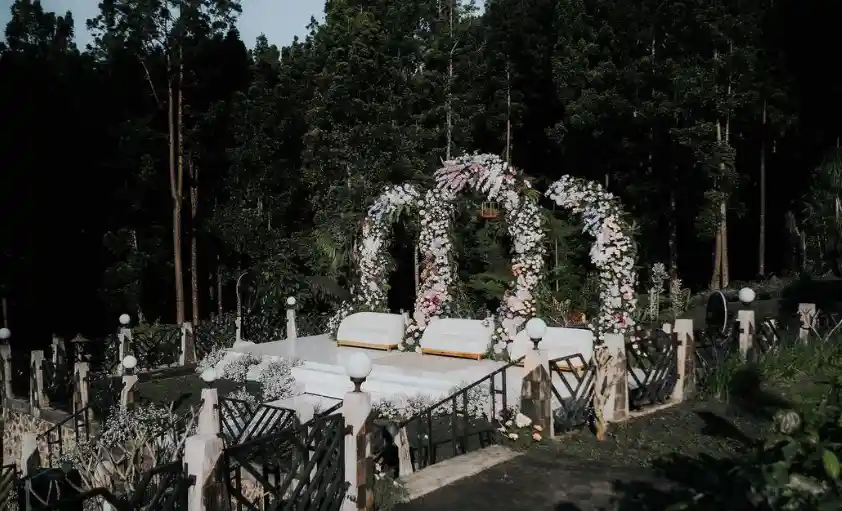 dekorasi pernikahan outdoor di hutan pinus