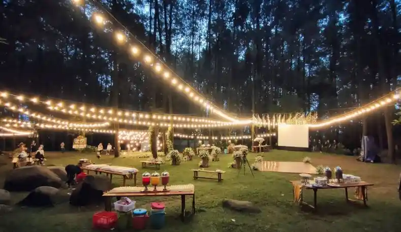 dekroasi pernikahan vintage outdoor di hutan malam hari