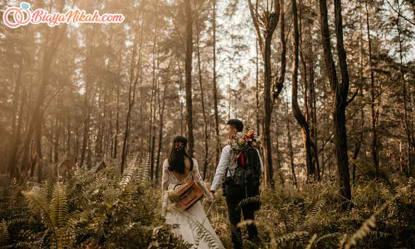 prewed Rustic